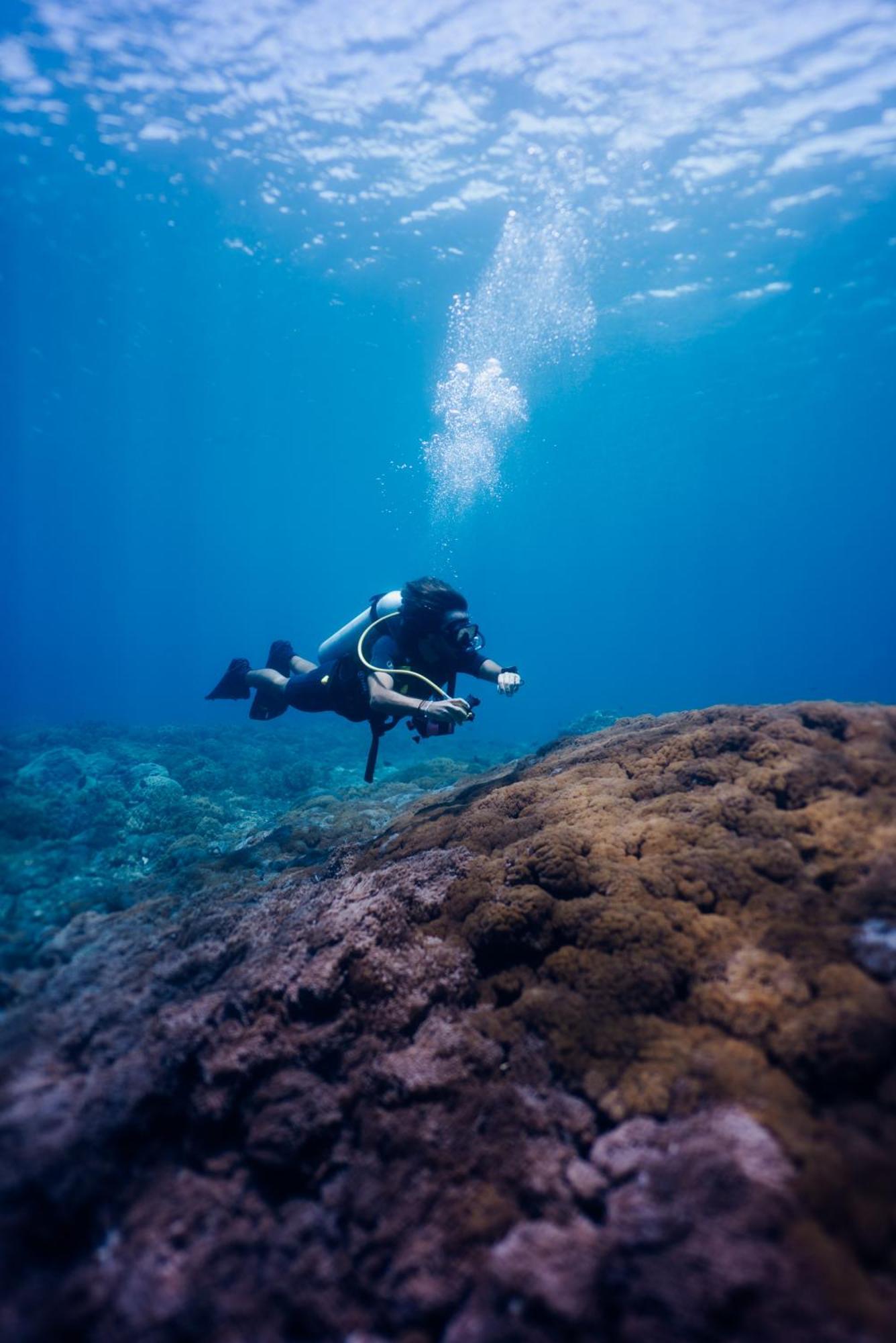 Deep Roots Dive & Yoga Resort Ped Екстериор снимка